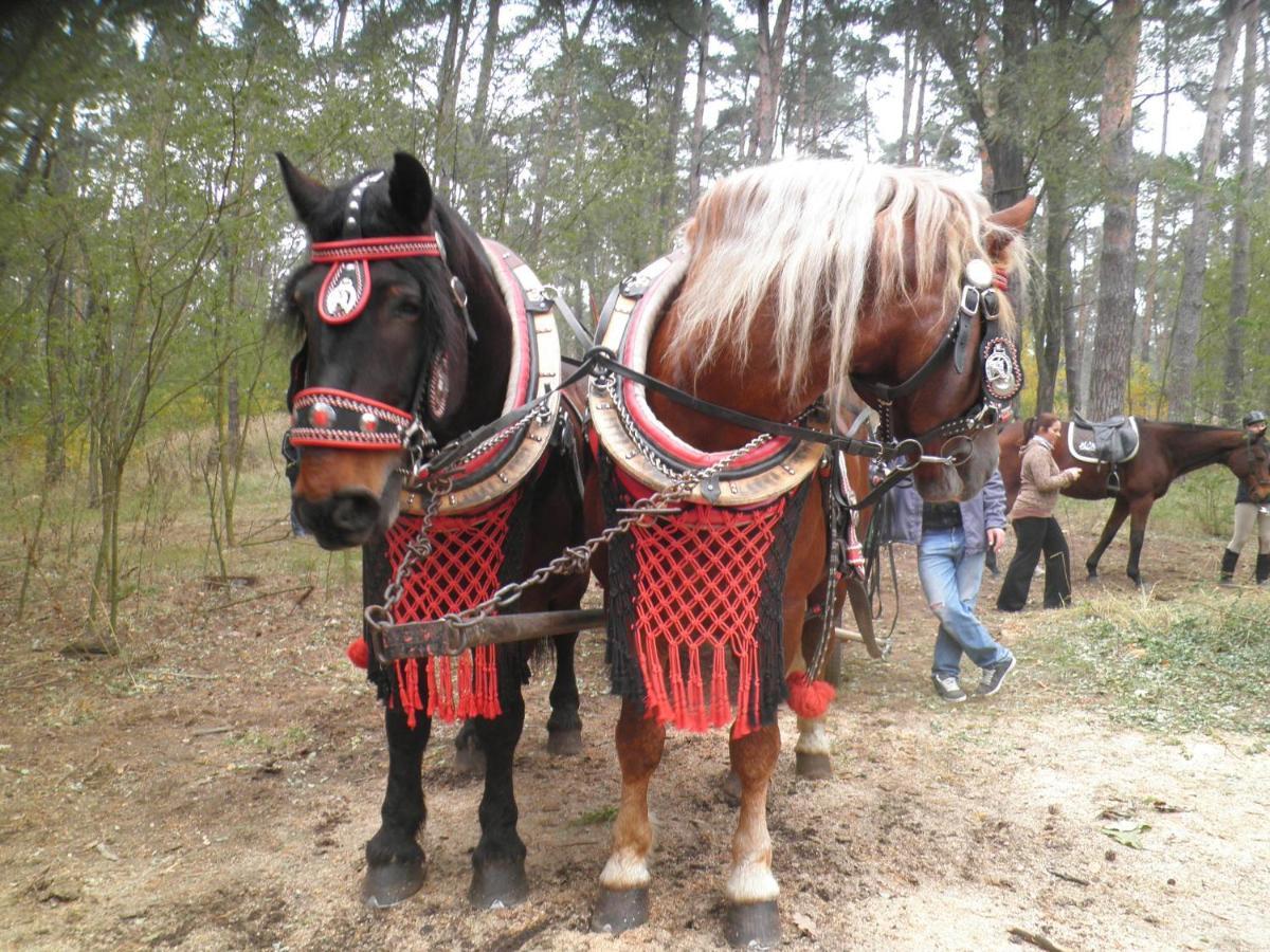 Vinny Sklep Kovarna - Nad Presovnou Rohatec Bagian luar foto